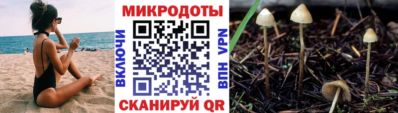 Псилоцибиновые грибы MAGIC MUSHROOMS Лахденпохья
